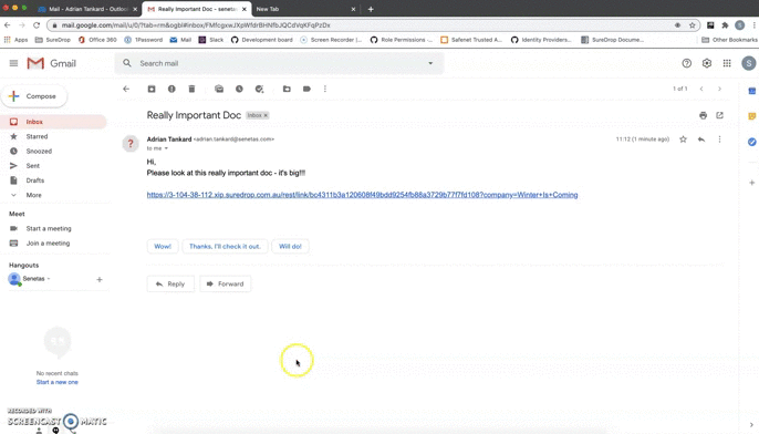 ../_images/ReceivingLink.gif