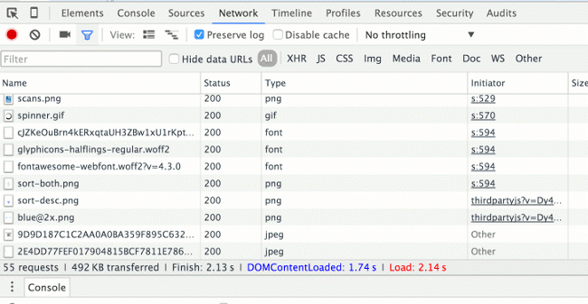 An image showing the :guilabel:`Network` tab in the Chrome developer tools.