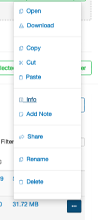 File actions menu