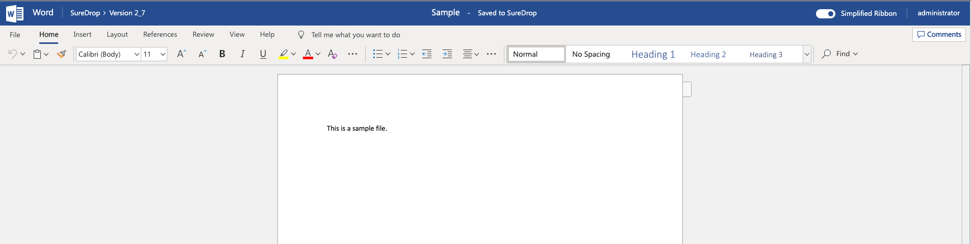 MS Word