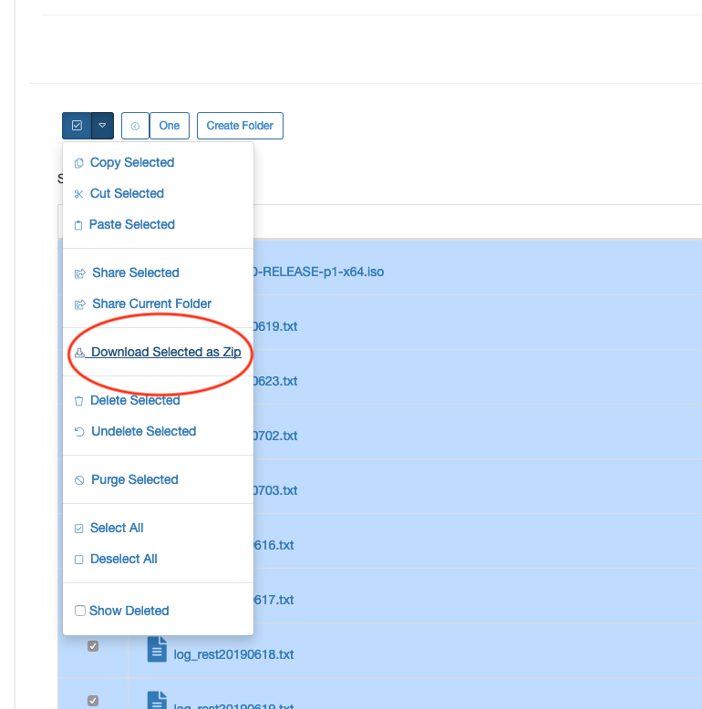 Download As Zip
